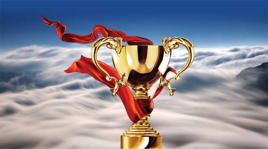 好太太霸氣摘星：智能家居領軍品牌大雁獎！